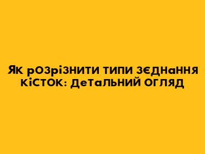 Як розрізнити типи з'єднання кісток: детальний огляд