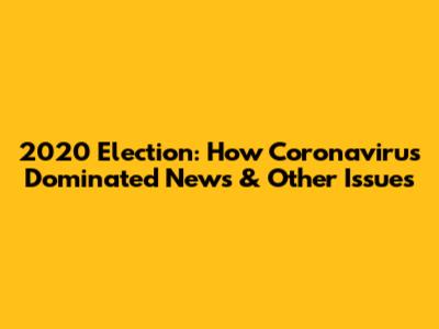 2020 Election: How Coronavirus Dominated News & Other Issues