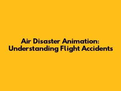 Air Disaster Animation: Understanding Flight Accidents