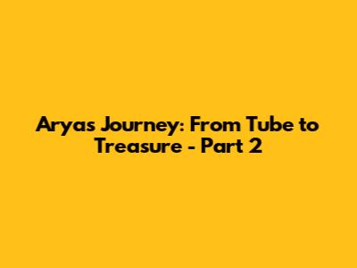 Arya's Journey: From Tube to Treasure - Part 2