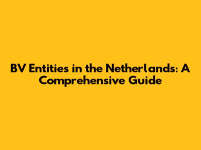 BV Entities in the Netherlands: A Comprehensive Guide