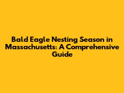 Bald Eagle Nesting Season in Massachusetts: A Comprehensive Guide