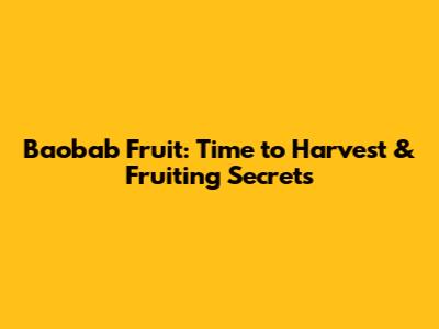 Baobab Fruit: Time to Harvest & Fruiting Secrets