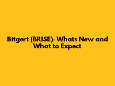 Bitgert (BRISE): What's New and What to Expect