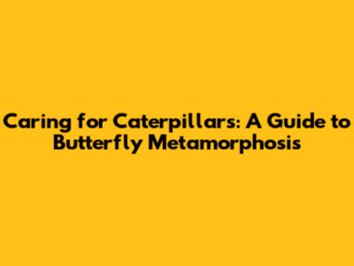 Caring for Caterpillars: A Guide to Butterfly Metamorphosis