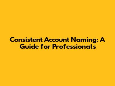 Consistent Account Naming: A Guide for Professionals