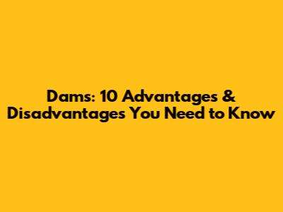 Dams: 10 Advantages & Disadvantages You Need to Know