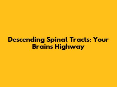 Descending Spinal Tracts: Your Brain's Highway