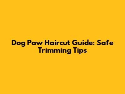 Dog Paw Haircut Guide: Safe Trimming Tips