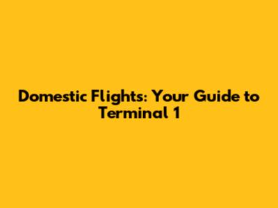 Domestic Flights: Your Guide to Terminal 1