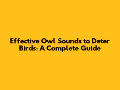 Effective Owl Sounds to Deter Birds: A Complete Guide