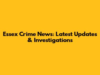 Essex Crime News: Latest Updates & Investigations