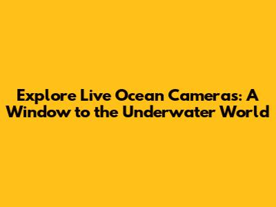 Explore Live Ocean Cameras: A Window to the Underwater World