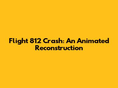 Flight 812 Crash: An Animated Reconstruction