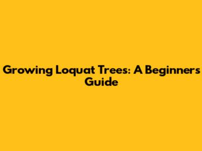 Growing Loquat Trees: A Beginner's Guide