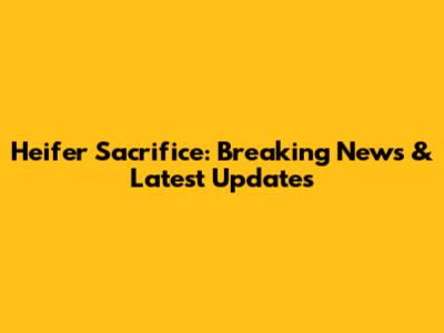 Heifer Sacrifice: Breaking News & Latest Updates