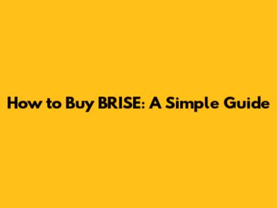 How to Buy BRISE: A Simple Guide