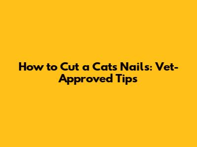 How to Cut a Cat's Nails: Vet-Approved Tips