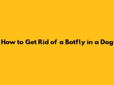 How to Get Rid of a Botfly in a Dog
