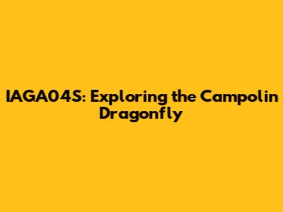 IAGA04S: Exploring the Campolin Dragonfly