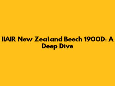 IIAIR New Zealand Beech 1900D: A Deep Dive
