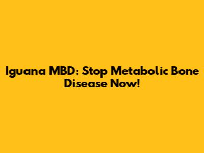 Iguana MBD: Stop Metabolic Bone Disease Now!