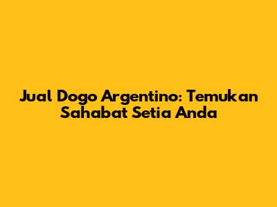 Jual Dogo Argentino: Temukan Sahabat Setia Anda