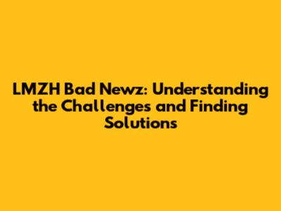 LMZH Bad Newz: Understanding the Challenges and Finding Solutions
