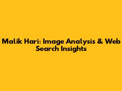 Malik Hari: Image Analysis & Web Search Insights