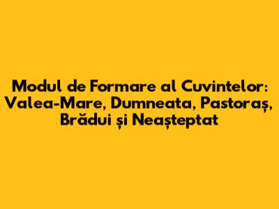 Modul de Formare al Cuvintelor: Valea-Mare, Dumneata, Pastoraș, Brădui și Neașteptat