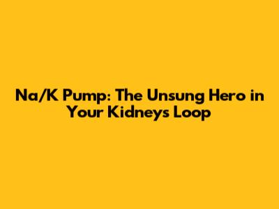 Na/K Pump: The Unsung Hero in Your Kidney's Loop