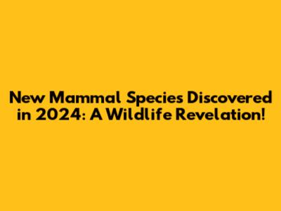 New Mammal Species Discovered in 2024: A Wildlife Revelation!