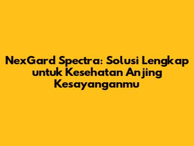 NexGard Spectra: Solusi Lengkap untuk Kesehatan Anjing Kesayanganmu
