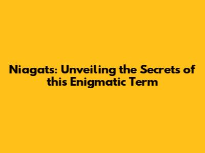 Niagats: Unveiling the Secrets of this Enigmatic Term