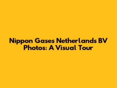 Nippon Gases Netherlands BV Photos: A Visual Tour