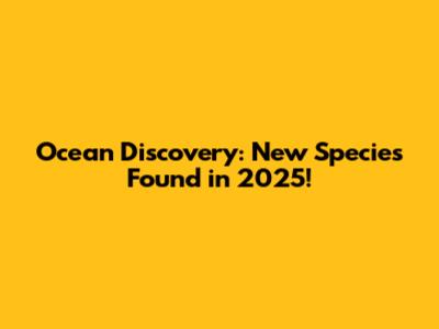 Ocean Discovery: New Species Found in 2025!