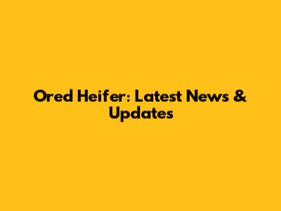 Ored Heifer: Latest News & Updates