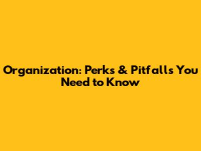 Organization: Perks & Pitfalls You Need to Know