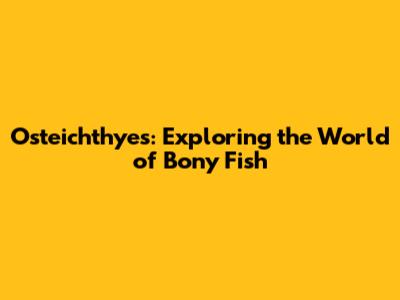 Osteichthyes: Exploring the World of Bony Fish
