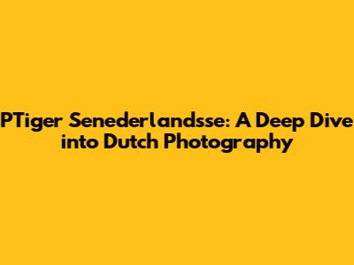 PTiger Senederlandsse: A Deep Dive into Dutch Photography