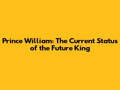 Prince William: The Current Status of the Future King