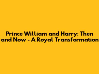 Prince William and Harry: Then and Now - A Royal Transformation