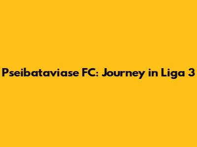 Pseibataviase FC: Journey in Liga 3