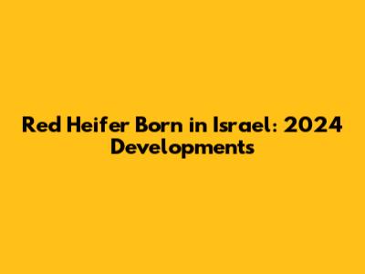 Red Heifer Born in Israel: 2024 Developments
