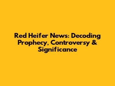 Red Heifer News: Decoding Prophecy, Controversy & Significance