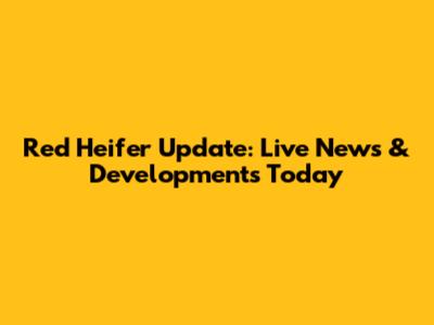 Red Heifer Update: Live News & Developments Today