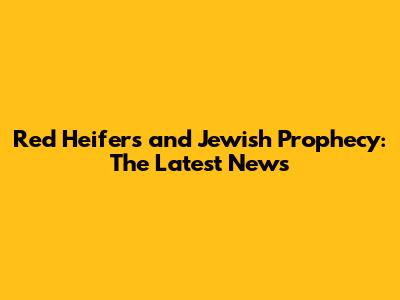 Red Heifers and Jewish Prophecy: The Latest News