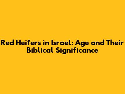 Red Heifers in Israel: Age and Their Biblical Significance