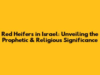 Red Heifers in Israel: Unveiling the Prophetic & Religious Significance