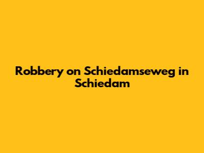 Robbery on Schiedamseweg in Schiedam